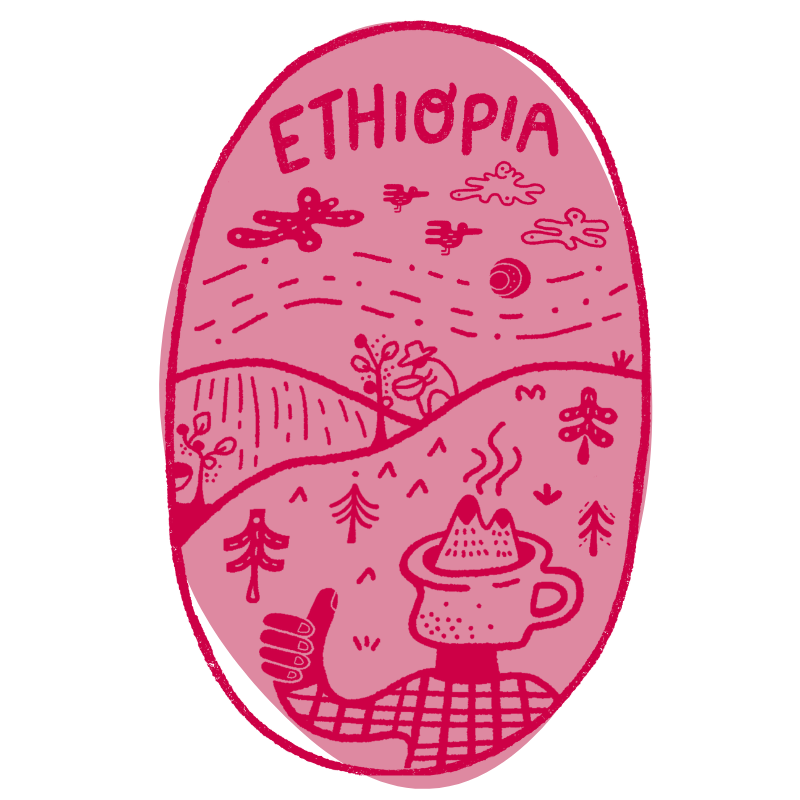 Ethiopia Sidamo - White Goat Coffee