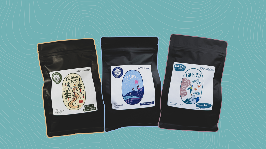 Ascent Coffee Blend Comparison: Find Your Perfect Roast